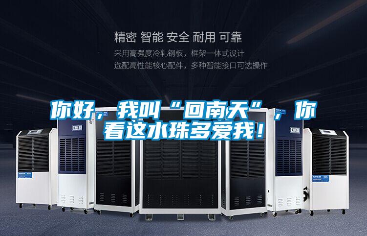 你好，我叫“回南天”，你看這水珠多愛我！