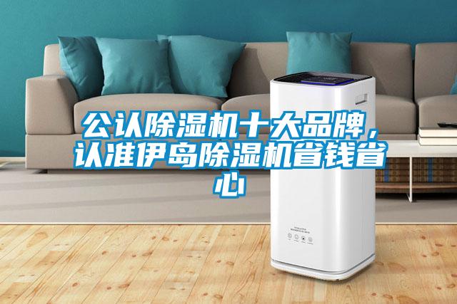 公認除濕機十大品牌，認準伊島除濕機省錢省心