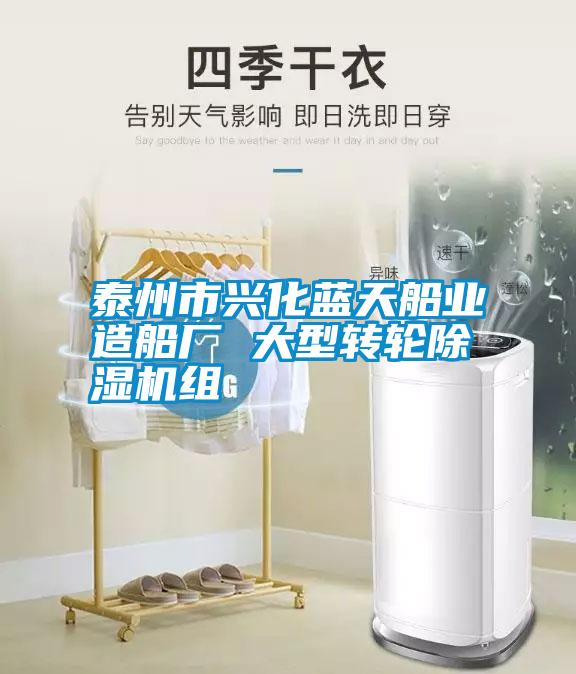 泰州市興化藍天船業(yè)造船廠 大型轉輪除濕機組