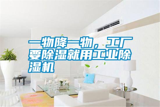 一物降一物,工廠要除濕就用工業(yè)除濕機(jī)