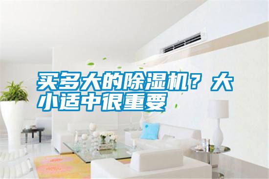 買多大的除濕機?大小適中很重要