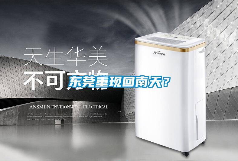東莞重現(xiàn)回南天?