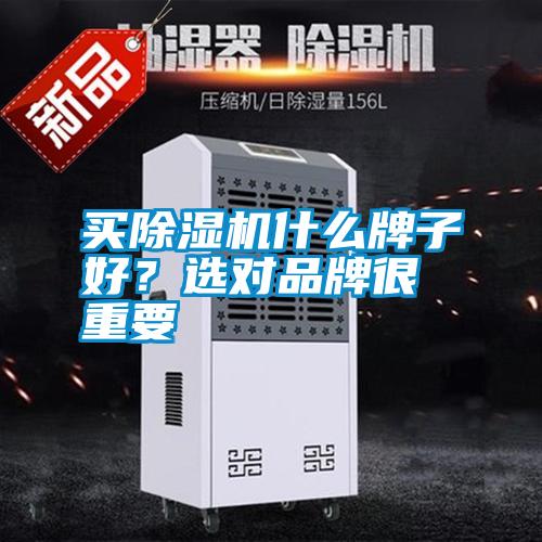 買除濕機什么牌子好?選對品牌很重要