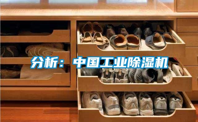 分析:中國工業除濕機