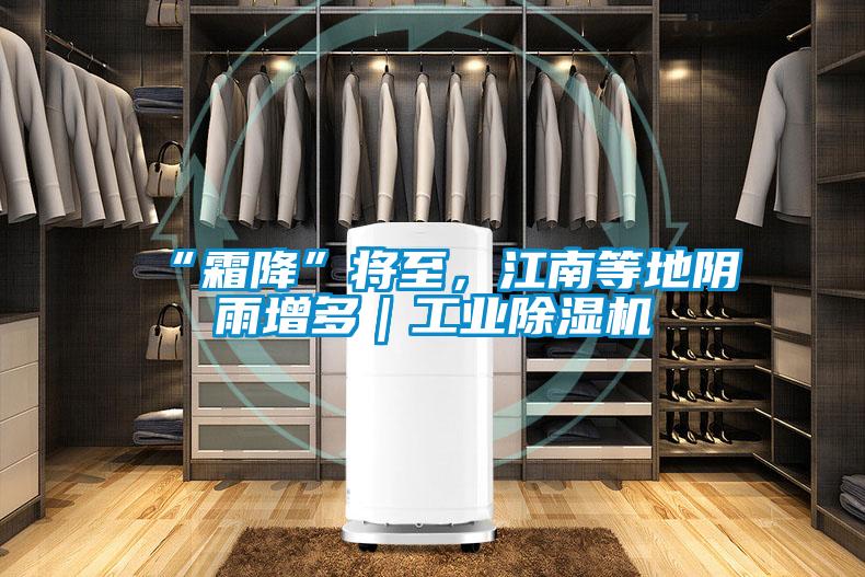 “霜降”將至，江南等地陰雨增多｜工業除濕機