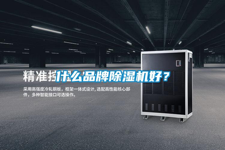 什么品牌除濕機(jī)好?