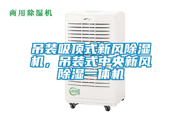 吊裝吸頂式新風除濕機,吊裝式中央新風除濕一體機