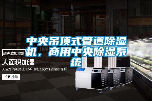 中央吊頂式管道除濕機,商用中央除濕系統(tǒng)