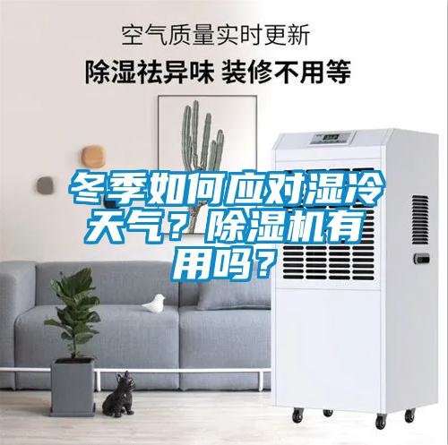 冬季如何應對濕冷天氣？除濕機有用嗎？