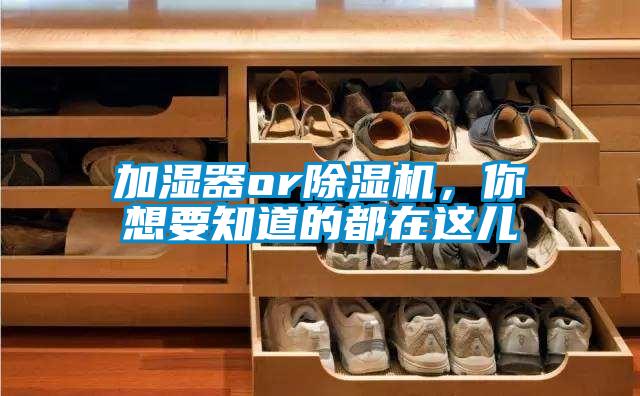 加濕器or除濕機，你想要知道的都在這兒