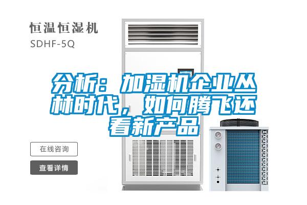 分析：加濕機企業叢林時代，如何騰飛還看新產品