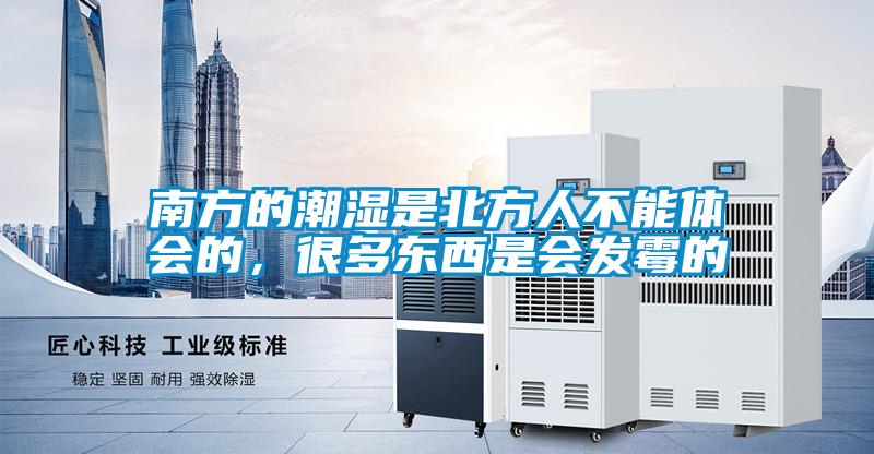 南方的潮濕是北方人不能體會的,很多東西是會發(fā)霉的