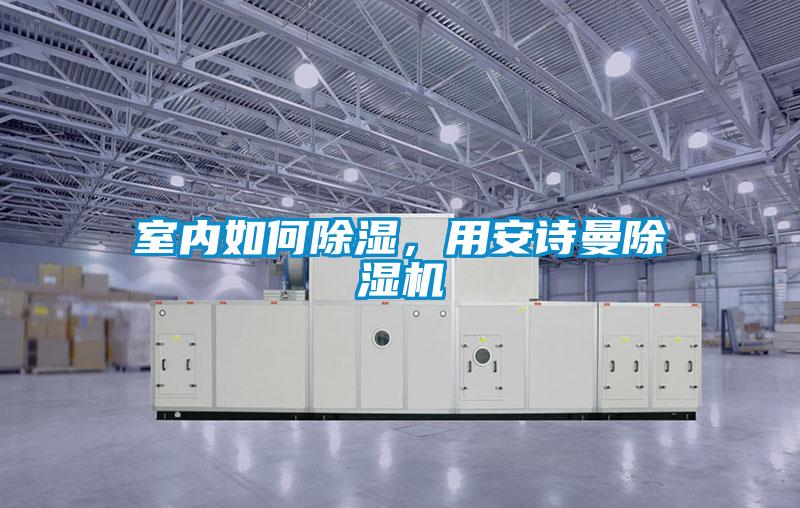 室內(nèi)如何除濕,用安詩曼除濕機