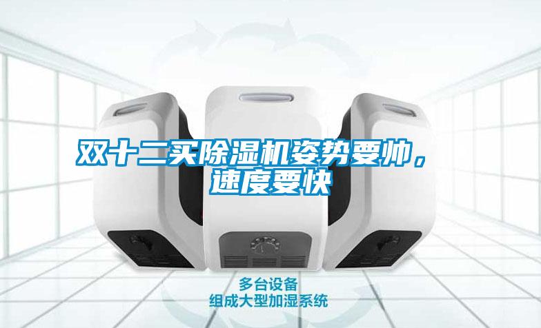 雙十二買除濕機姿勢要帥, 速度要快