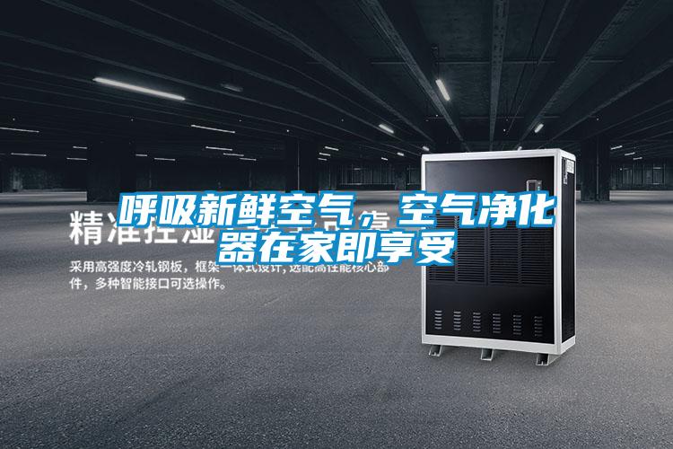 呼吸新鮮空氣，空氣凈化器在家即享受