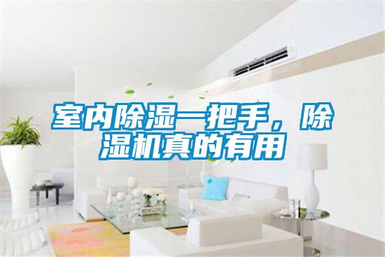 室內(nèi)除濕一把手,除濕機真的有用