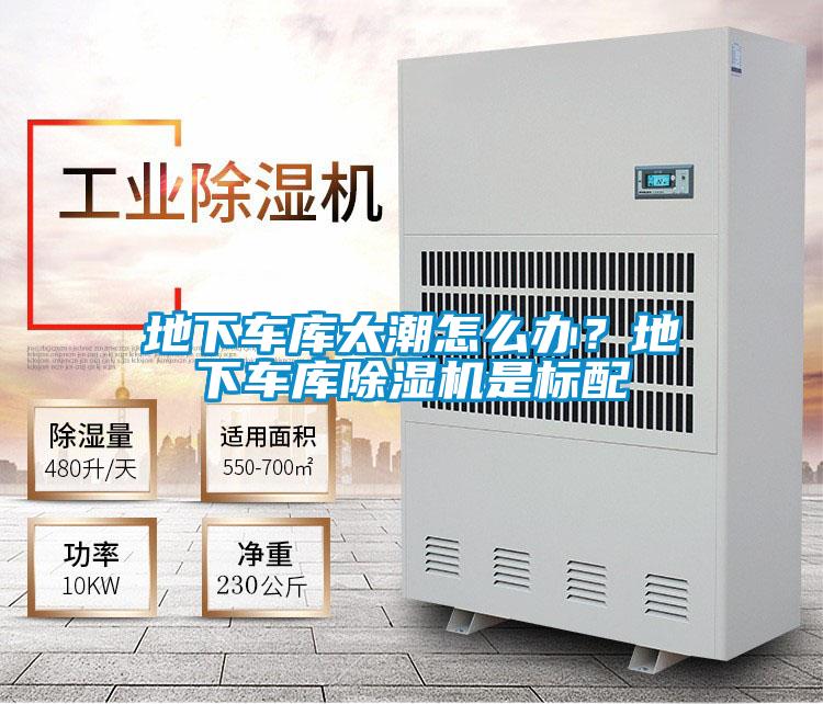 地下車庫太潮怎么辦？地下車庫除濕機是標(biāo)配