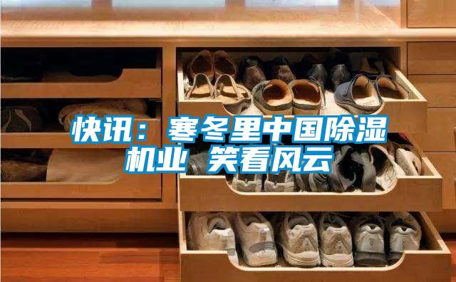 快訊:寒冬里中國除濕機(jī)業(yè) 笑看風(fēng)云