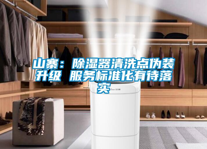 山寨:除濕器清洗點偽裝升級 服務標準化有待落實