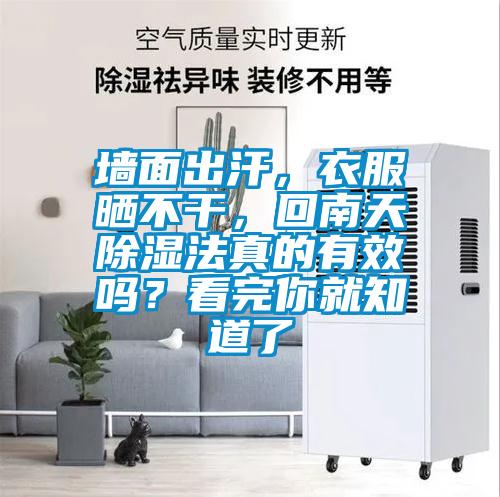 墻面出汗,衣服曬不干,回南天除濕法真的有效嗎?看完你就知道了