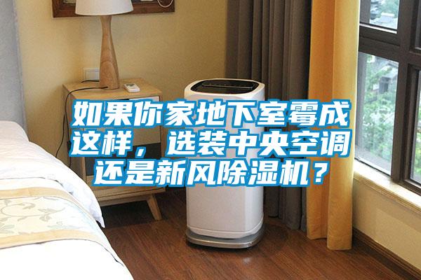 如果你家地下室霉成這樣，選裝中央空調(diào)還是新風(fēng)除濕機(jī)？