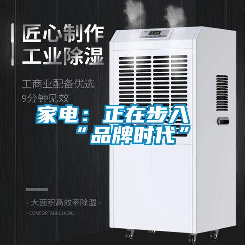 家電:正在步入“品牌時代”