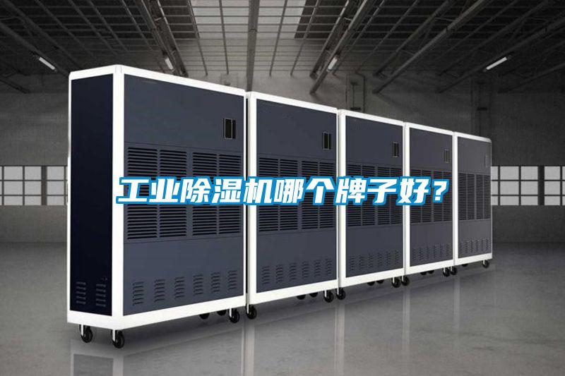 工業除濕機哪個牌子好？