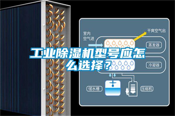 工業(yè)除濕機(jī)型號應(yīng)怎么選擇?