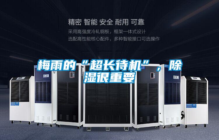 梅雨的“超長待機”,除濕很重要