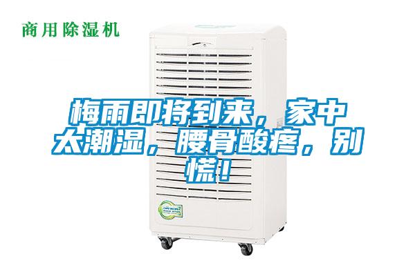 梅雨即將到來，家中太潮濕，腰骨酸疼，別慌！