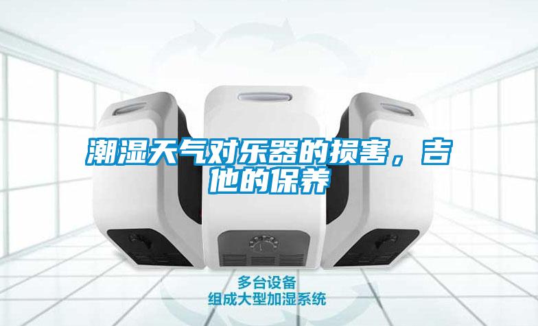 潮濕天氣對樂器的損害,吉他的保養