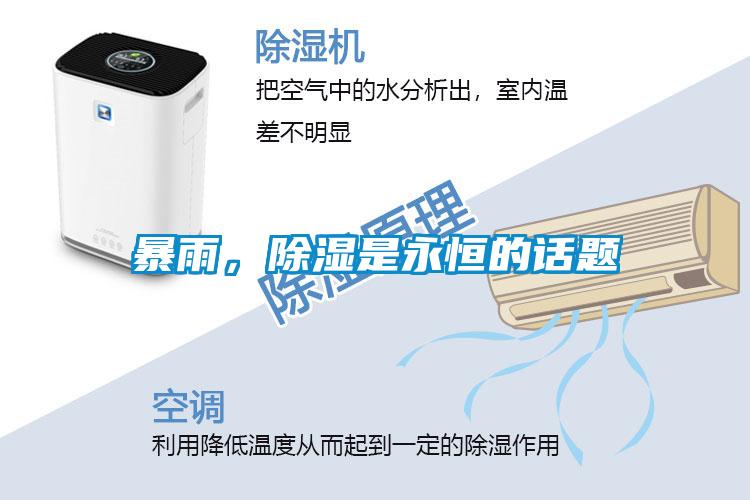 暴雨,除濕是永恒的話題