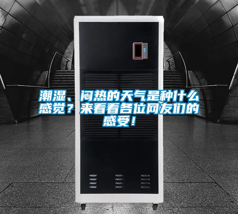 潮濕、悶熱的天氣是種什么感覺？來看看各位網友們的感受！