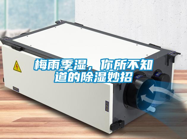 梅雨季濕，你所不知道的除濕妙招