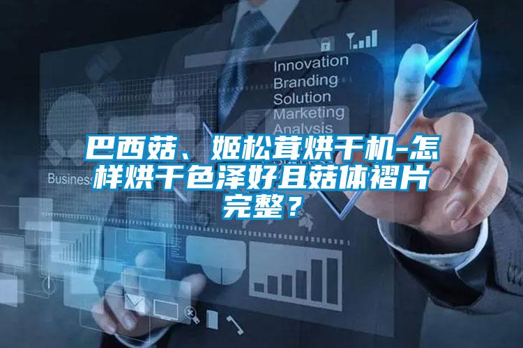 巴西菇、姬松茸烘干機-怎樣烘干色澤好且菇體褶片完整？