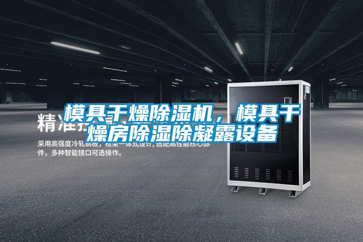 模具干燥除濕機，模具干燥房除濕除凝露設(shè)備