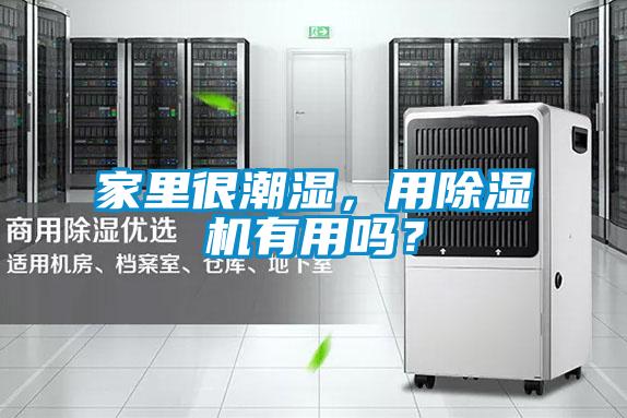 家里很潮濕，用除濕機有用嗎？