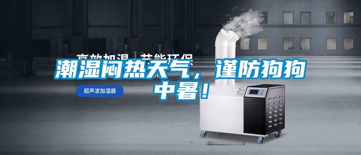 潮濕悶熱天氣,謹(jǐn)防狗狗中暑!