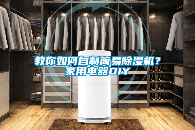 教你如何自制簡(jiǎn)易除濕機(jī)?家用電器DIY