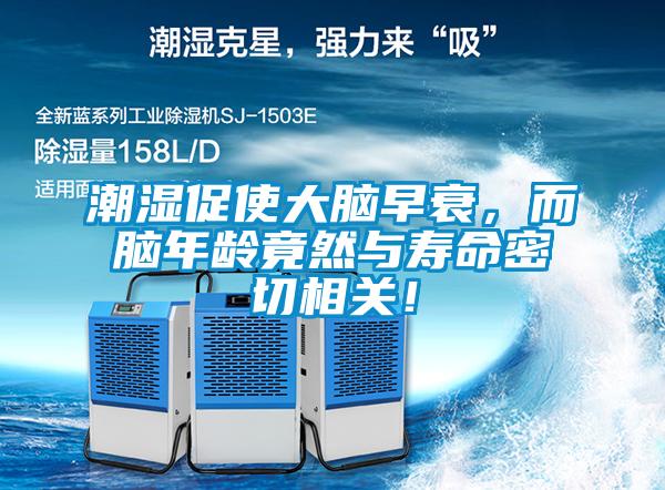 潮濕促使大腦早衰，而腦年齡竟然與壽命密切相關(guān)！