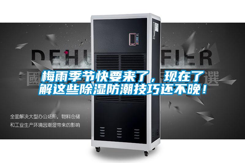 梅雨季節(jié)快要來了，現(xiàn)在了解這些除濕防潮技巧還不晚！