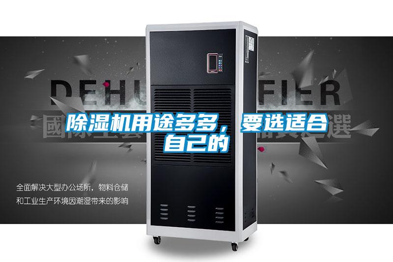 除濕機用途多多,要選適合自己的