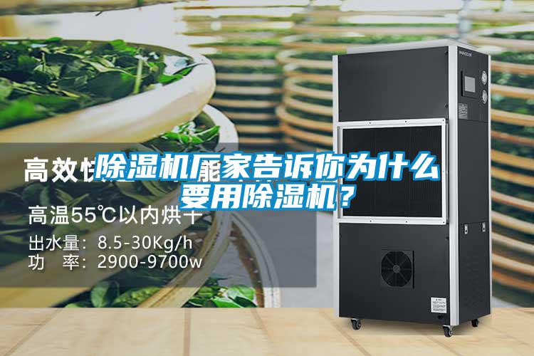 除濕機廠家告訴你為什么要用除濕機？