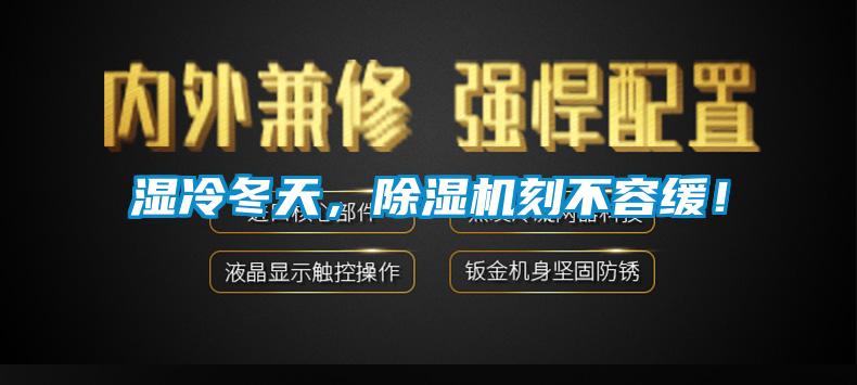 濕冷冬天，除濕機刻不容緩！