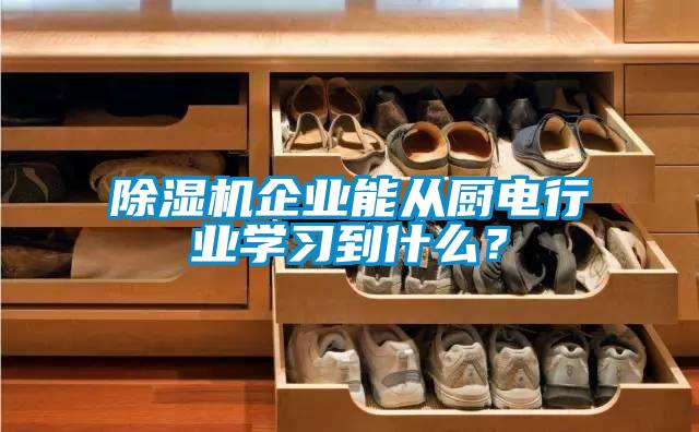 除濕機企業能從廚電行業學習到什么?