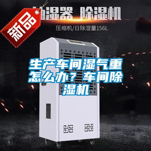 生產車間濕氣重怎么辦？車間除濕機