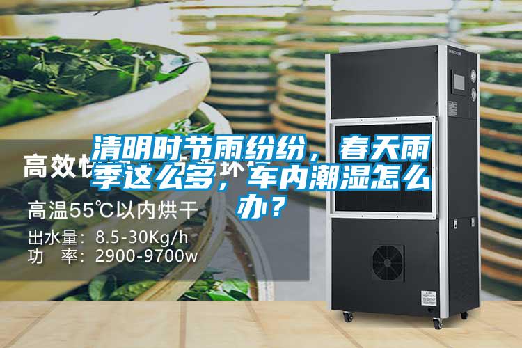 清明時(shí)節(jié)雨紛紛,春天雨季這么多,車內(nèi)潮濕怎么辦?