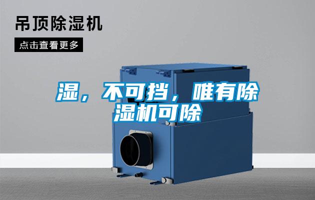 濕，不可擋，唯有除濕機可除