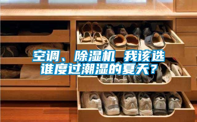 空調、除濕機 我該選誰度過潮濕的夏天？