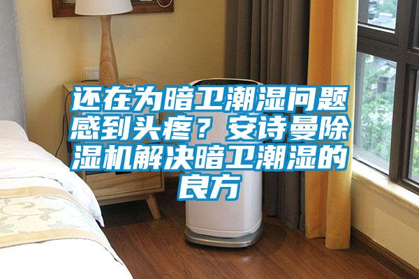還在為暗衛(wèi)潮濕問題感到頭疼?安詩曼除濕機解決暗衛(wèi)潮濕的良方